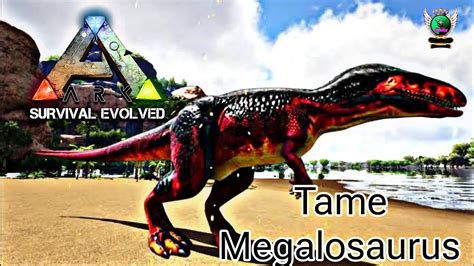 Tame Megalosaurus Ark Survival Evolved Mobile Youtube