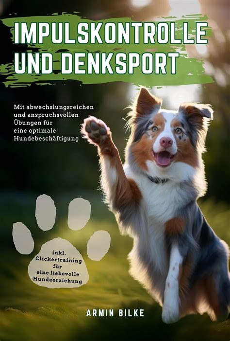 Impulskontrolle Und Denksport F R Hunde Mit Abwechslungsreichen Und