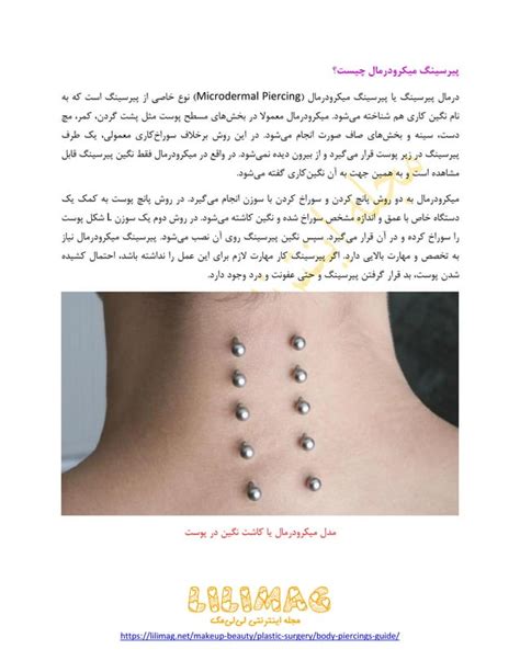 Body Piercings Guide Pdf