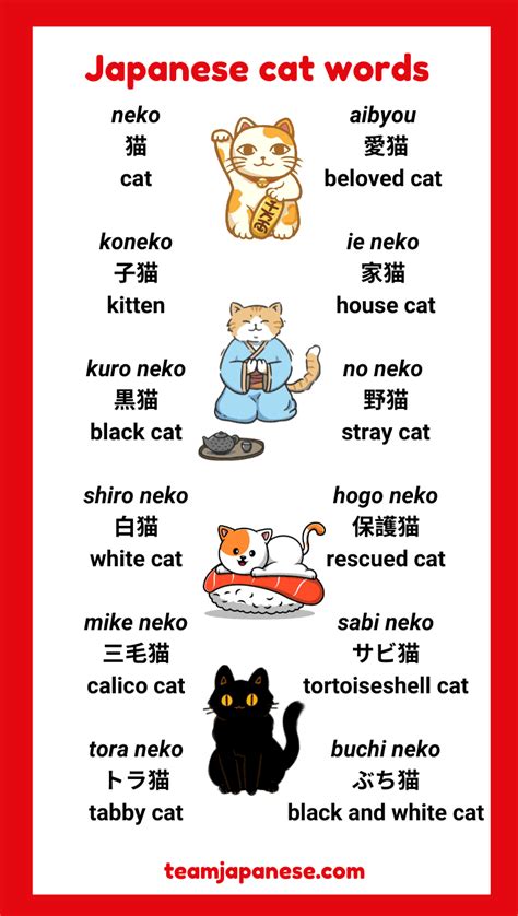 How to Say Cat in Japanese (+ More Cute Japanese Cat Words!) - Team ...