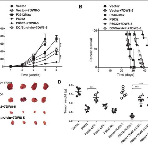 Potent Antitumor Activity Of P8032 Vaccine With 7dw8 5 In Ct26 Model