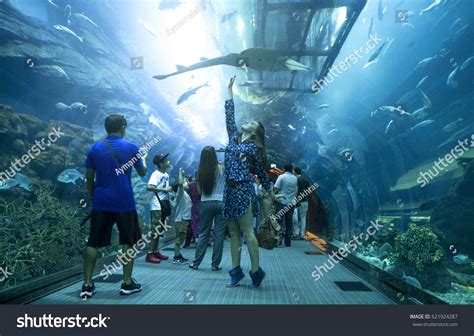 1,275 Dubai Mall Aquarium Images, Stock Photos & Vectors | Shutterstock