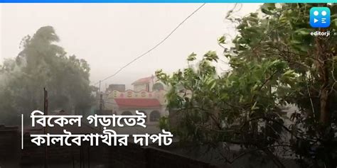 West Bengal Weather Update Rain In South Bengal West Bengal Weather