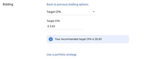 How Useful Is Target CPA In Google Ads Store Growers