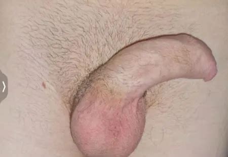 Uncut Gay Porn Pics Nude Men In Free Sex Photos XHamster