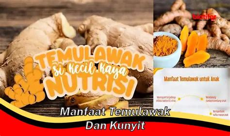 5 Manfaat Temulawak Dan Kunyit Yang Jarang Diketahui Biotifor