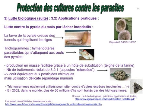 exposé sur la lutte biologique ppt