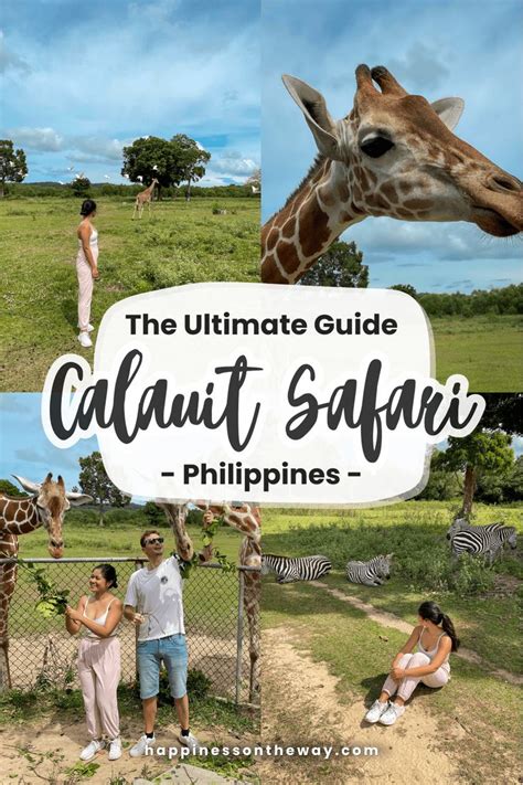 The Ultimate Guide To Calauit Safari Philippines S Wildlife Preserve