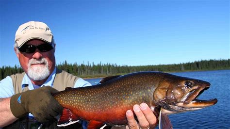 Minipi Brook Trout Part One Labrador Youtube