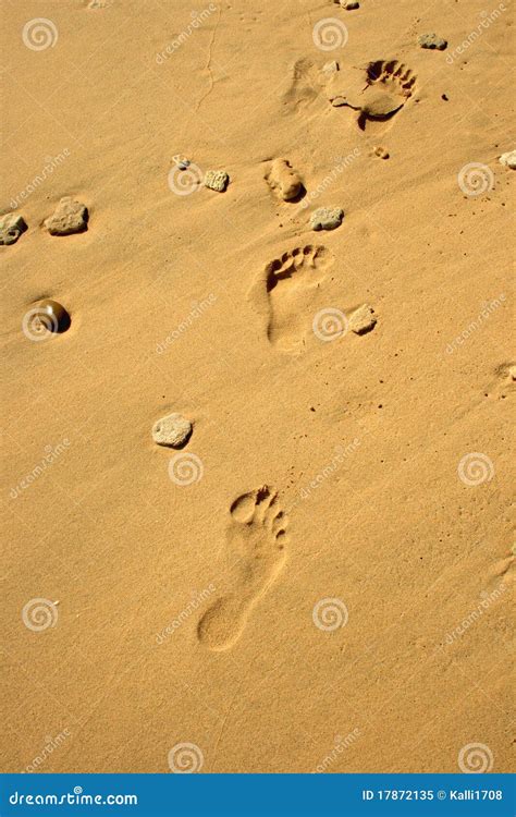 Footprint In The Sand Stock Image Image Of Direction 17872135