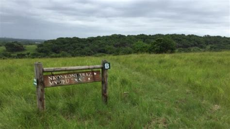 Southern Zululand Richards Bay Enseleni Nature Reserve Gobirding