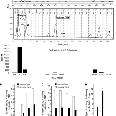 A Chromatogram Of Nucleoside Standards Top Panel And Nucleosides Download Scientific