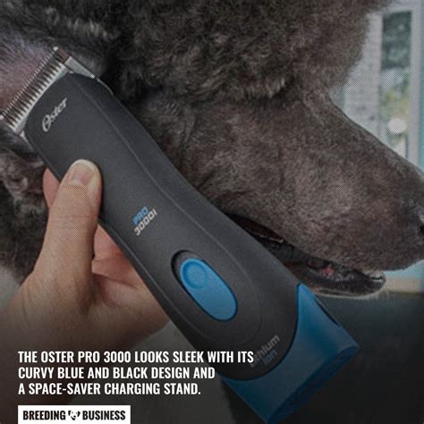 11 Best Cordless Dog Clippers – Reviews, Battery, Sound, Speeds & FAQs