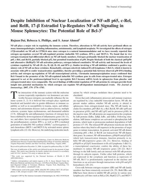 Pdf Despite Inhibition Of Nuclear Localization Of Nf B P C Rel