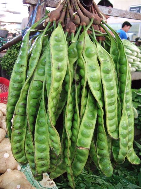polynesian produce stand petai parkia speciosa stink bean tree