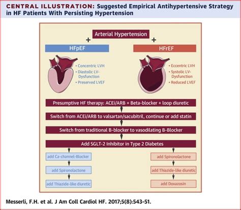 The Transition From Hypertension To Heart Failure Contemporary Update