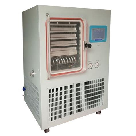 Food Lyophilization Kg Vegetable Vacuum Freeze Dryer Machine China