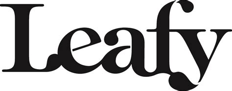 leafy net worth