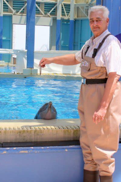 Dolphin Encounter Ocean Park Hong Kong Photo