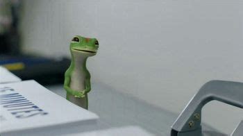 GEICO Gecko TV Commercials - iSpot.tv