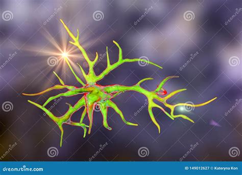 Astrocyte Una C Lula Glial Cerebral Stock De Ilustraci N Ilustraci N