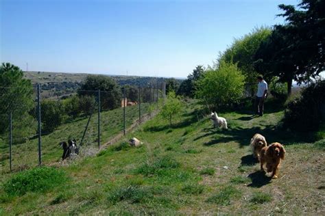 Quienes Somos Happycan Residencia Canina Madrid Residencia De Perros