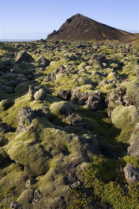 Paisaje Volcánico De Lava Cubierta De Musgo Islandia Imagen de