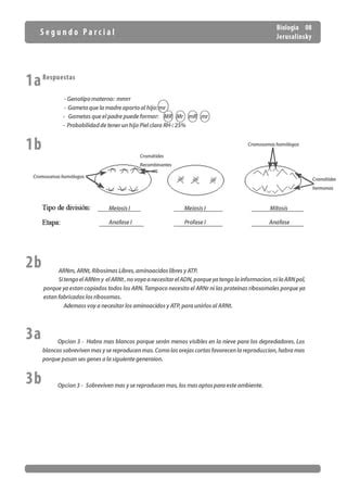 Segundo Parcial De Biologia Del Cbc Pdf