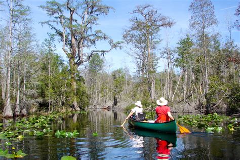 Meet A Water Trail Georgia S Okefenokee Wilderness Canoe Trails Men S Journal