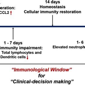 The Timeline Of The Immunity Dysfunction After Surgical Stress