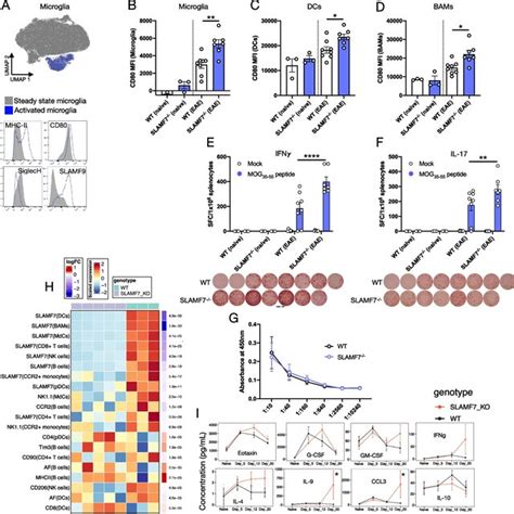 Slamf Restrains Cns Myeloid Cell Activation Regulates Adaptive Immune