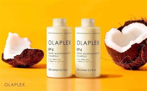 Olaplex No 4 Shampoo Ingredients Review - Restore Skin and Hair with ...