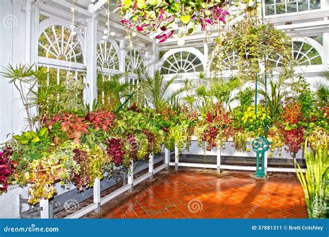 Horticulture Plants And Flowers Stock Image - Image: 37881311