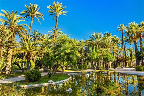 Elche Hiszpania Zwiedzanie Ciekawe Zabytki I Atrakcje