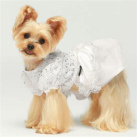 Dog Wedding Outfit | Dog Wedding Dress | Fitwarm