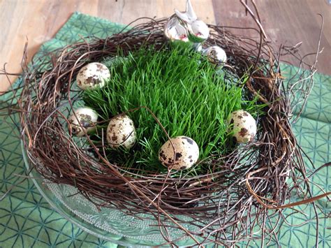 Ostergras Deko Mit Einfachem Kranz Und Schlichten Details Auf Glasteller