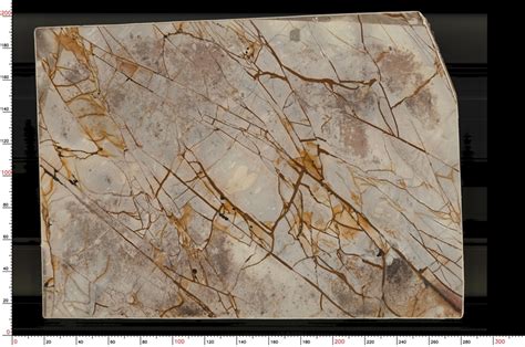 Roman Impression Quartzite Slabs KD1359 5672