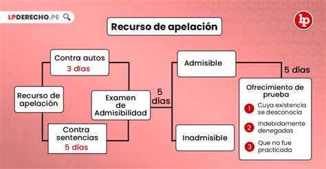 El Recurso De Apelaci N En El Proceso Penal Bien Explicado Lp