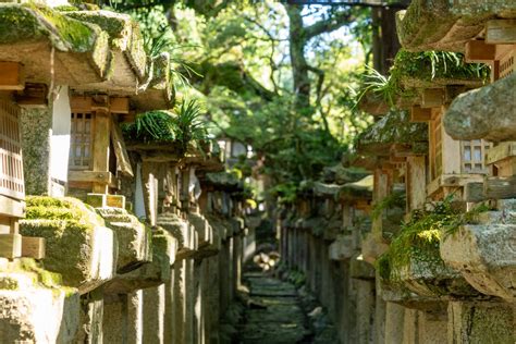 Kasuga Taisha Shrine | Traveling Japan