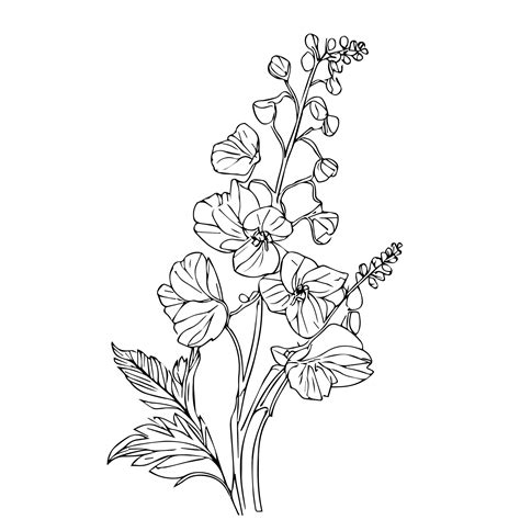 Premium Vector Larkspur Line Drawing Tattoo Delphinium Flower Drawing