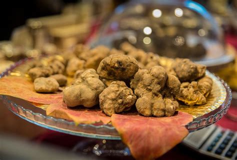 Al Via La Prima FIERA NAZIONALE DEL TARTUFO A Milano Milano Post