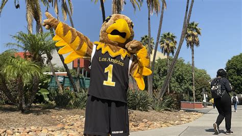 Eddie the Golden Eagle | Cal State LA