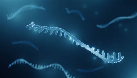 Explainer Why Scientists Sometimes Knock Out Genes