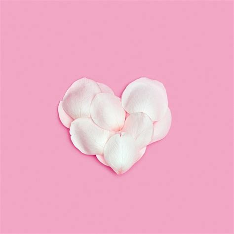 Premium Photo Tender Heart Made Of Rose Flower Petals On Pink