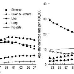 Age Standardized Cancer Mortality For Selected Cancers By Sex During