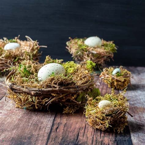 Bird Nest Craft for Your Spring Decor | Hearth and Vine