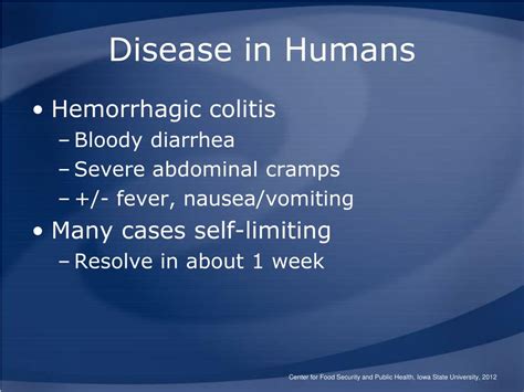 Ppt Enterohemorrhagic Escherichia Coli Infections Powerpoint Presentation Id3680820