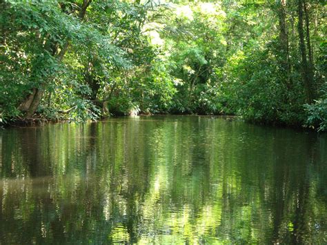 Qué ver y hacer en Tortuguero en 2 días