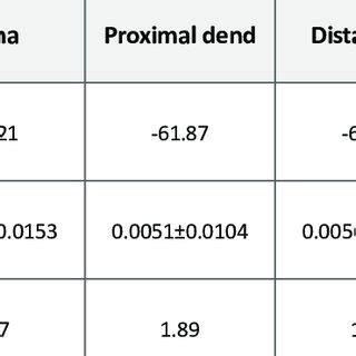 Firing Rates Of DCN With Blockade Of SK Channel In Each Compartment