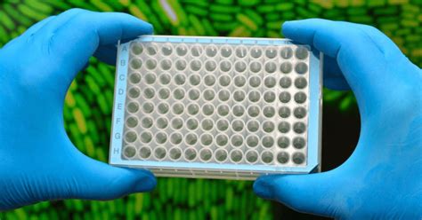 PCR Plates A Popular Laboratory Disposable Consumable For Molecular